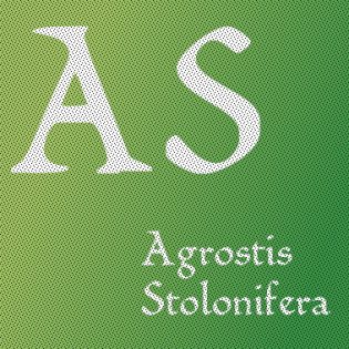 Agrostis Stolinifera L.